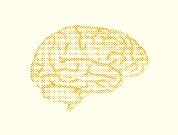 Ludzki Mózg Abstrakcyjny Ilustracja — Zdjęcie stockowe