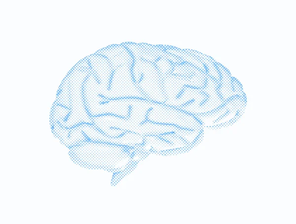 Human Brain Half Tone Pattern Isolated White Background — Stock Photo, Image