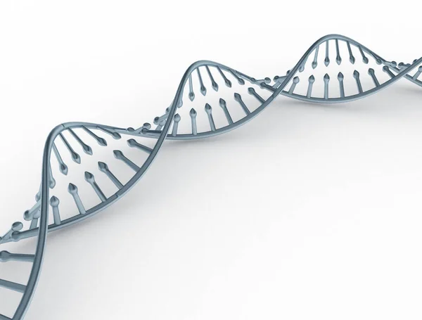 Metall Dna Doppelhelix Wirbelsäule Auf Weiß — Stockfoto