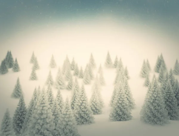 Christmas Background Snowy Fir Trees — Stock Photo, Image