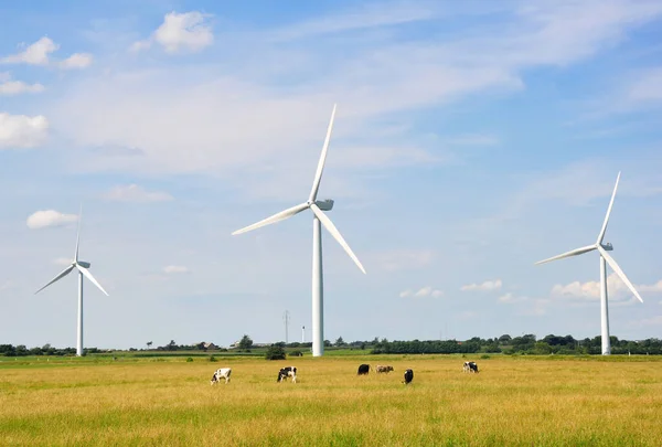 Vindturbiner Det Gröna Gräset Över Den Blå Mulna Himlen — Stockfoto