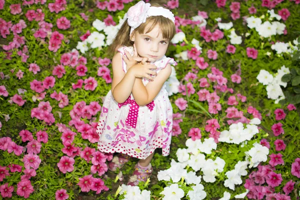 Cute little girl on the meadow in summer day — Stock Photo, Image