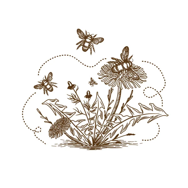 Abeille avec des fleurs dessin vintage — Image vectorielle