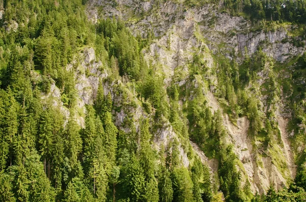 Bavyera Alpleri, Almanya, Avrupa