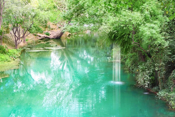 Kanalen i tropisk skog och små vattenfall. — Stockfoto