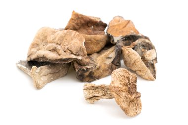 kurutulmuş porçini mantarı