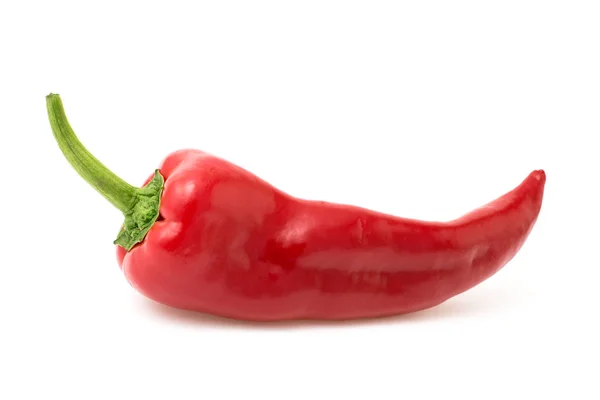 Rode peper geïsoleerd op wit — Stockfoto