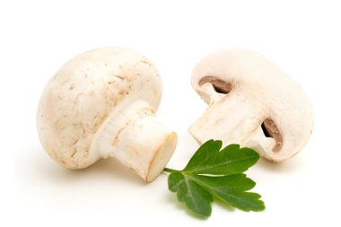 beyaz mantar yakın çekim