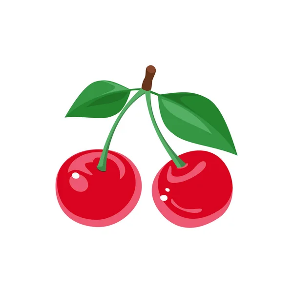 Red cherry close up.Vector - Stok Vektor