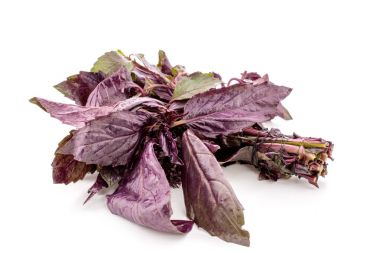 İzole, beyaz arka plan üzerinde fesleğen yaprağı