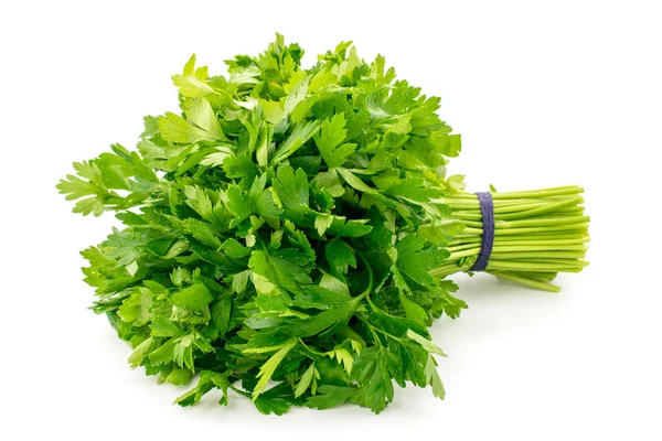 Bouquet of parsley on a white background — Stock Photo, Image