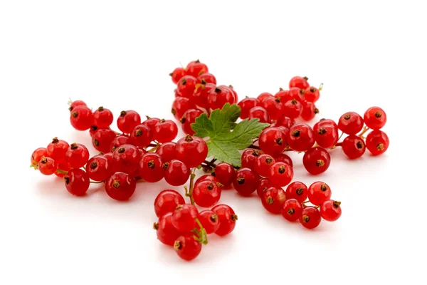 Ripe red currants isolated — Stock Photo, Image