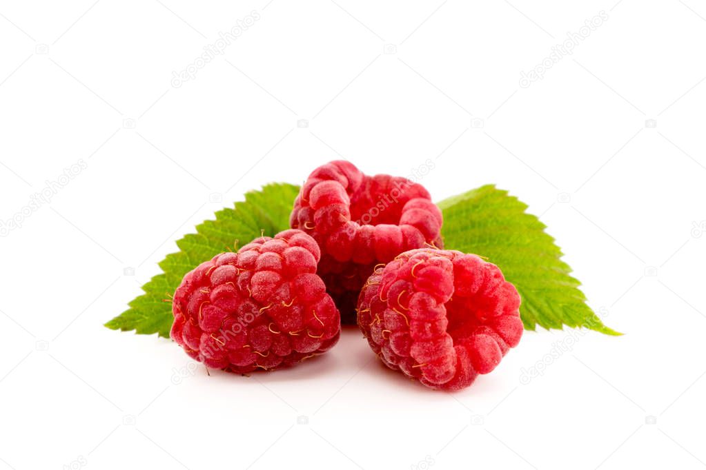Ripe raspberry isolated