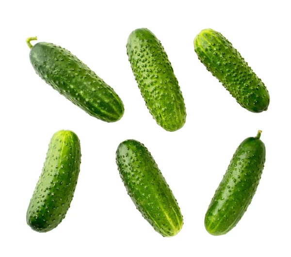 Set of ripe cucumbers carved on a white. — Stock Photo, Image