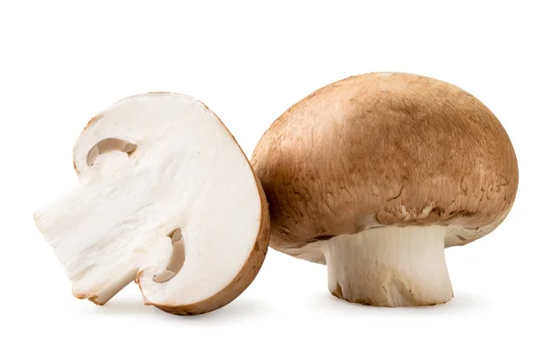Свежие грибы и половина крупным планом на белом. Isolated — стоковое фото