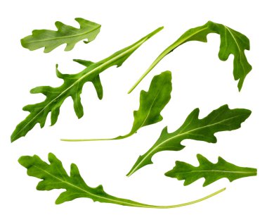 Beyaz bir yakın çekimde tam ve yarım tarih. İzole edilmiş. Yukarıdan görünüşü