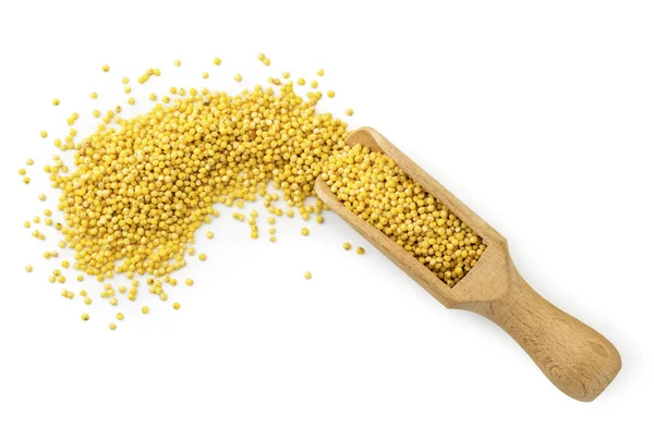 Millet in a wooden spoon close-up, top view. Isolated — 스톡 사진