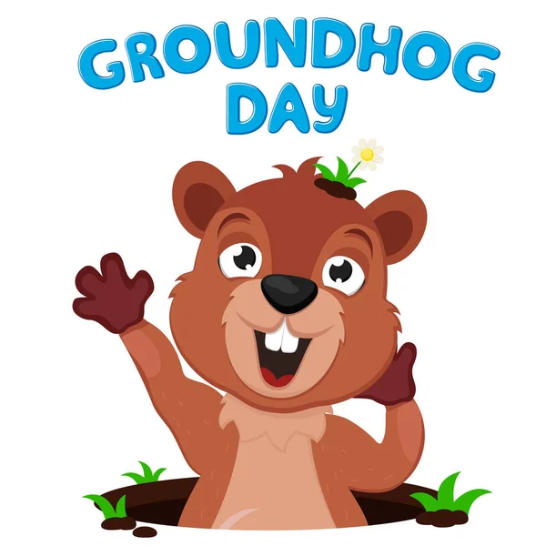 Dağ sıçanı yuvasından sürünerek çıkar ve beyaz üzerine uzanır. Köstebek Günü