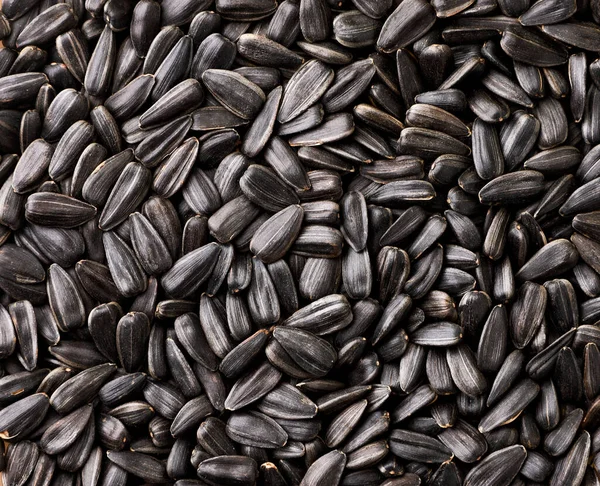 Sunflower Seeds Close Background View Top — Stock Photo, Image