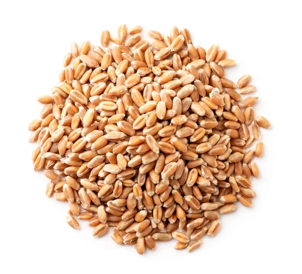Зерна Пшеницы Крупным Планом Белом Фоне Вид Сверху Isolated — стоковое фото