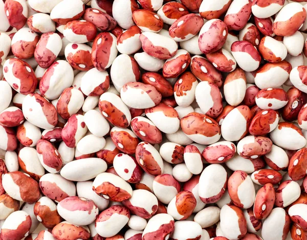 Red White Bean Top View Bean Background — Stock Photo, Image