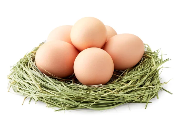 白い背景に巣の中の鶏の卵 — ストック写真