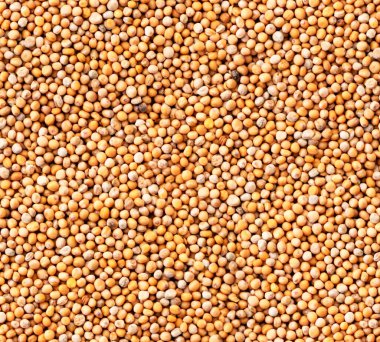 Hardal fasulyesi yakın plan, arka plan. Yukarıdan görünüm