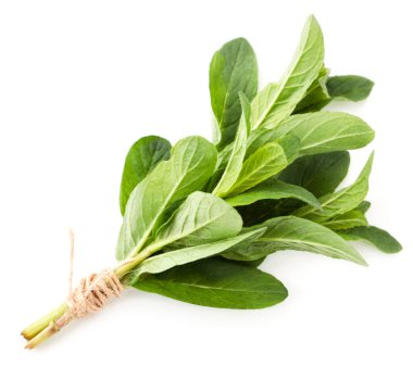 Beyaz arka planda nane şekeri var. Yukarıdan görünüm