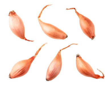 Beyaz üzerine soğan tohumları dizilmiş. Yukarıdan görünüm