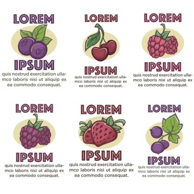 taze berry etiket şablonlarından