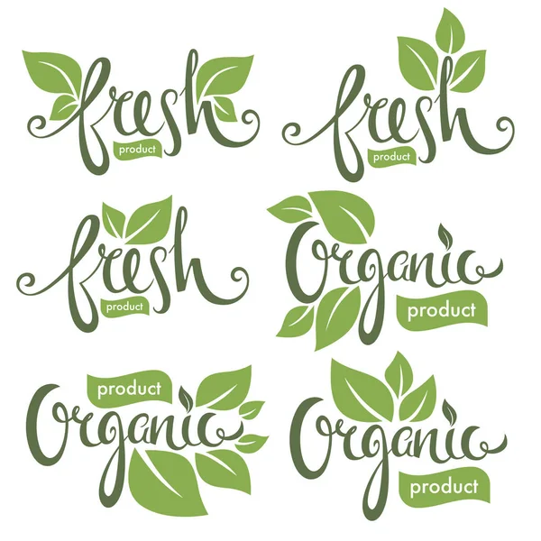 Organic and fresh, hand drawn lettering composition with green l — Stock Vector