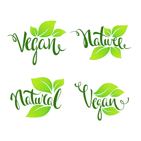 Vegan och natur, gröna glänsande blad och bokstäver sammansättning — Stock vektor