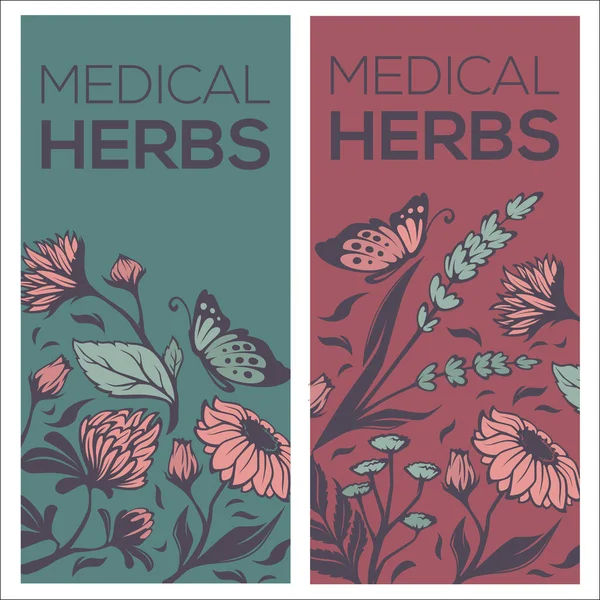 Медицинские травы, цветы, растения и листья, температура двух векторных листовок — стоковый вектор