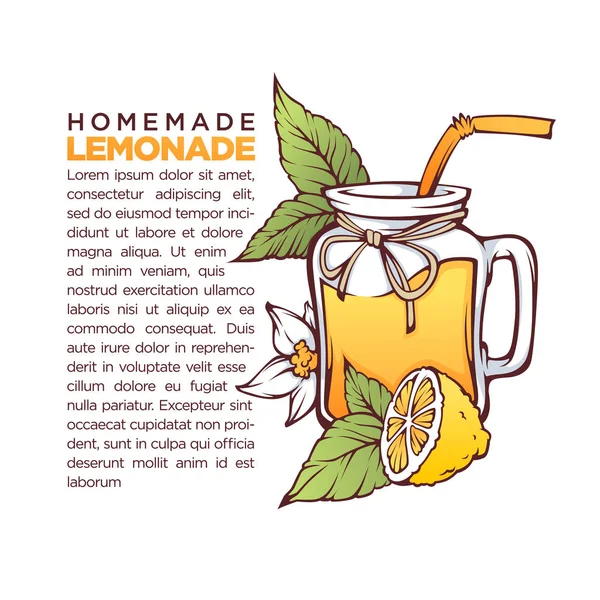 Homemade Lemonade, vector hand drawn illustration for your recip — Stock Vector