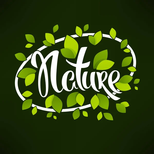Nature banner, hand drawn lettering on dark background shine and — Stock Vector