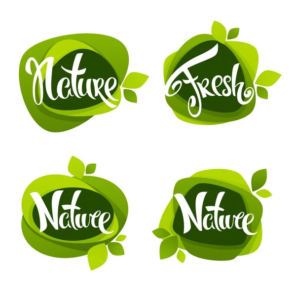 Lettrage nature, collection vectorielle d'étiquettes de feuilles, autocollants et emblèmes — Image vectorielle