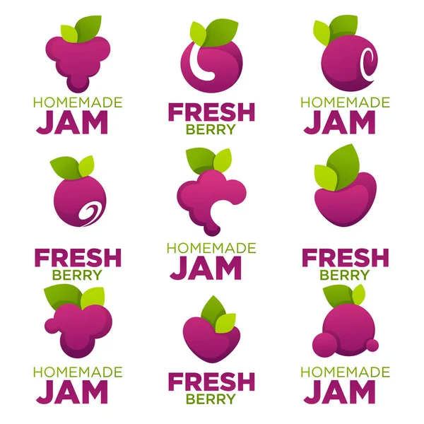 Raspberry, cherry, blueberry, berry, jam and fresh juice, vector — Stock Vector