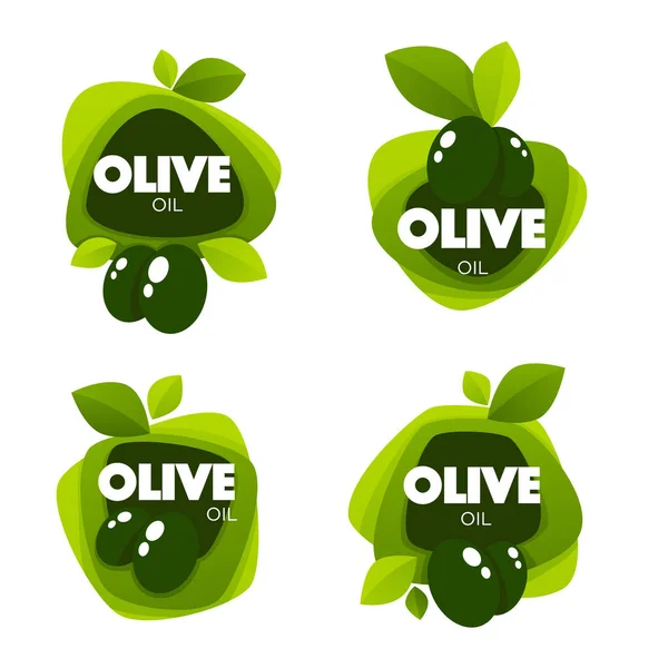 Green olive leaves, lettering compositions and oil splashes , ve — Stock Vector