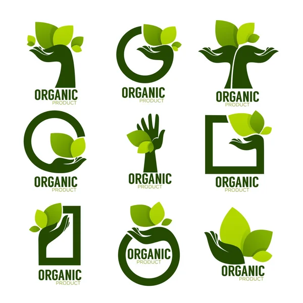 Naturaleza Producto Logotipo Conjunto, símbolo ecológico y signo, mano humana — Vector de stock