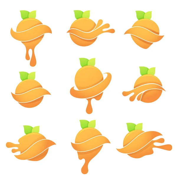Vektorové kolekce jasných citrusové symbolů se zelenými listy a — Stockový vektor
