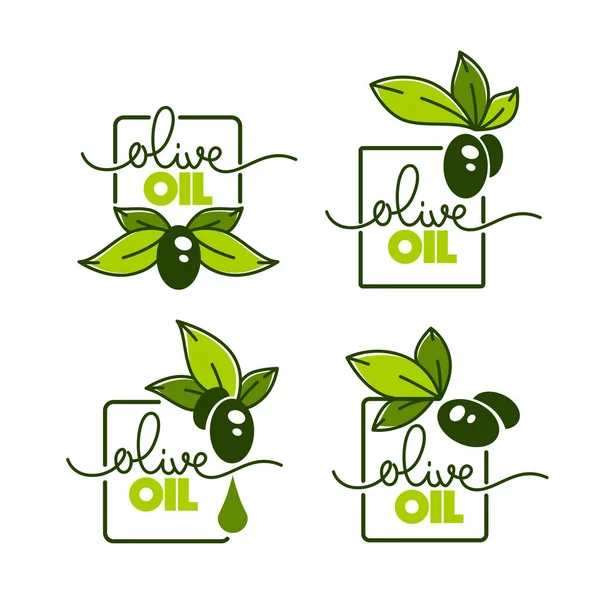 Grüne Olivenblätter, Schriftzüge und Ölspritzer, — Stockvektor