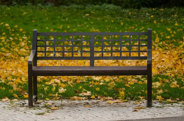 Banco solitário no parque de outono — Fotografia de Stock