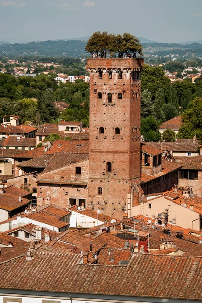 Torre Guinigi. Det är Lucca. Italien — Stockfoto