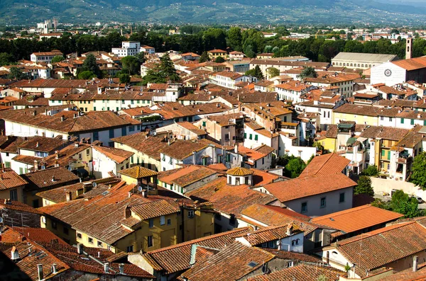 Panorama von Lucca mit roten Dächern — Stockfoto