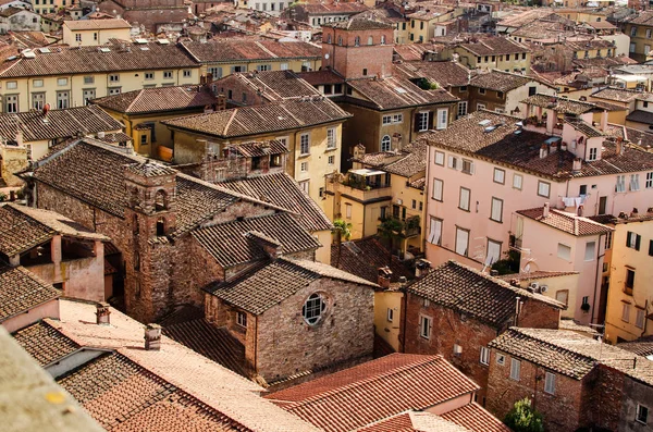 Lucca eski kasaba kırmızı çatılar — Stok fotoğraf