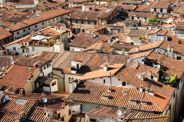 Rote Dächer der Altstadt von Lucca. — Stockfoto