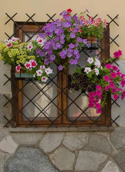 Az ablak a virágok és a rács — Stock Fotó