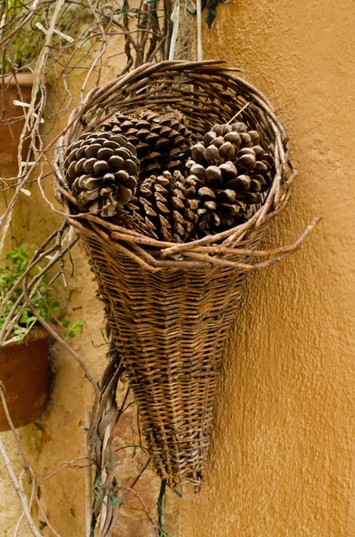 Dennenappels in de rieten opknoping op de muur in Pienza — Stockfoto