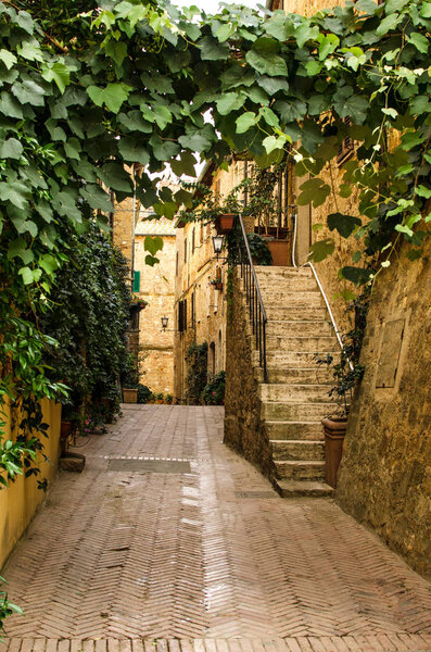 Old italian street in Pienza with stairs, green climbing plant and other plants