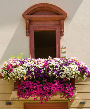 İtalya, Spello 'da çiçeklerle süslenmiş balkon.